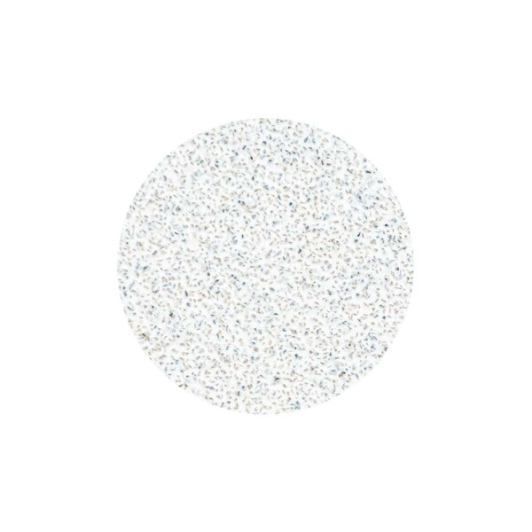 Ersatzpads PODODISC STALEKS PRO L (50 Stk.) Weiß